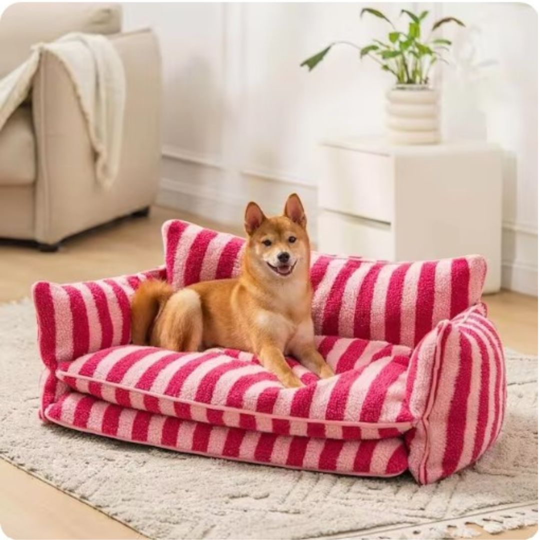 PawCushion | canapé orthopédique lavable pour animaux de compagnie