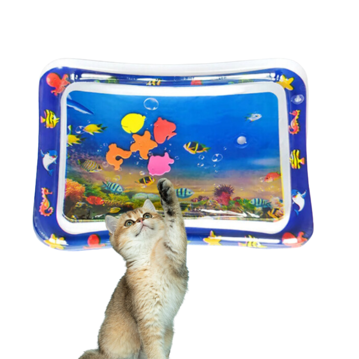 Tapis de jeu PurrSplash | Plaisir aquatique ultime pour les chats