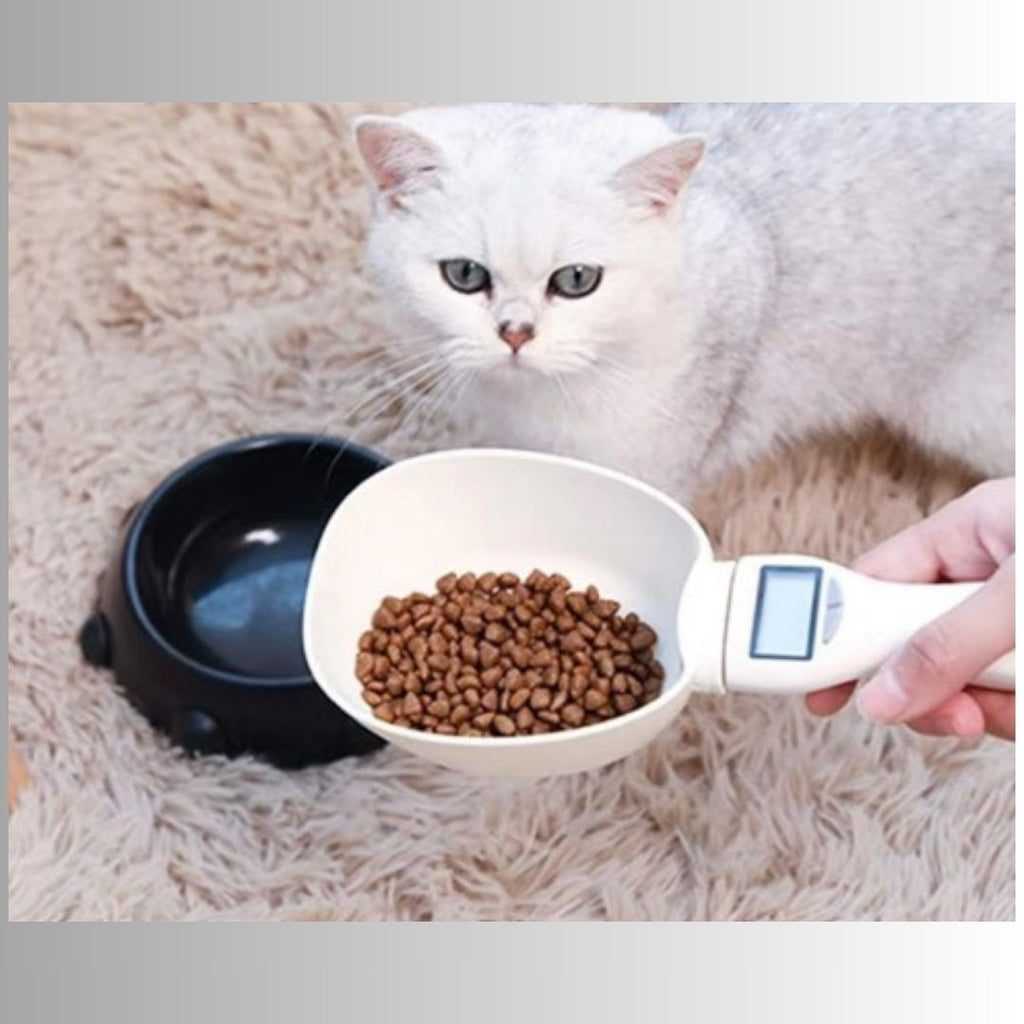 ScoopSmart | Cuillère de Mesure Numérique pour Aliments