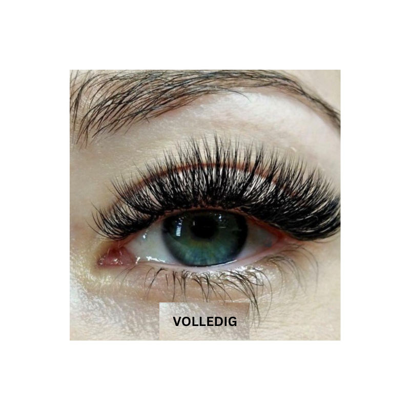 MagnetLash cils | Cils magiques sans colle