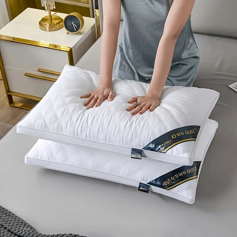 DreamRest - Ensemble de 2 Oreillers Hypoallergéniques 3D - Soutien Cervical Doux & Qualité Hôtelière de Sommeil