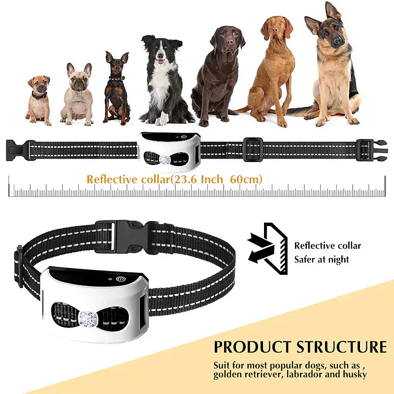 Clôture Sans Fil & Collier de Dressage 2-en-1 - Imperméable & Rechargeable