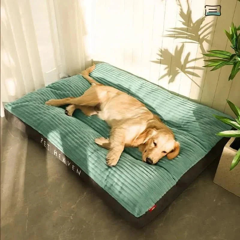 FlauschNest Lit Orthopédique pour Chien – Douillet & Soutenant pour des Nuits Reposantes