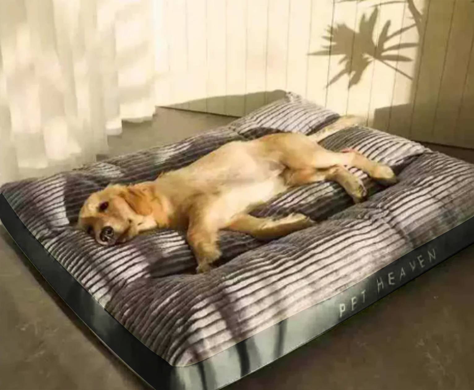 FlauschNest Lit Orthopédique pour Chien – Douillet & Soutenant pour des Nuits Reposantes