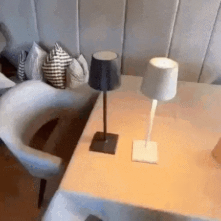Lampe de Table Multifonctionnelle Sans Fil Rechargeable Nordia Light