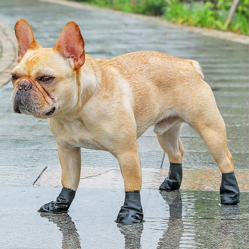 PootShield Chaussures de Chien Étanches avec Adhérence et Confort Protecteur