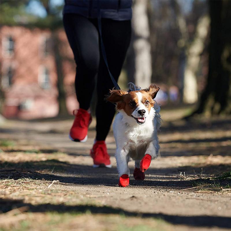 PootShield Chaussures de Chien Étanches avec Adhérence et Confort Protecteur