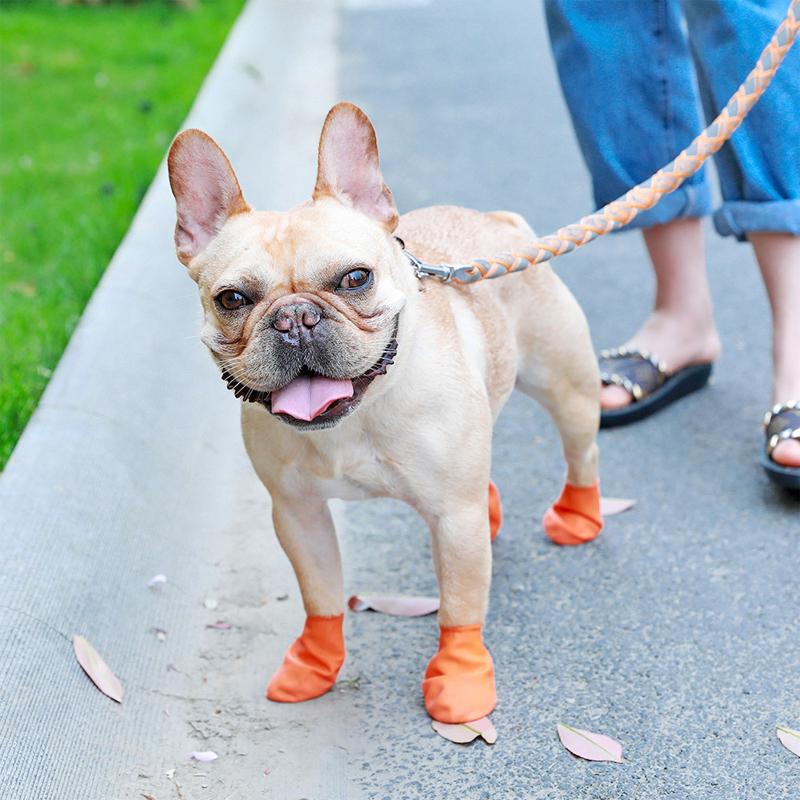 PootShield Chaussures de Chien Étanches avec Adhérence et Confort Protecteur
