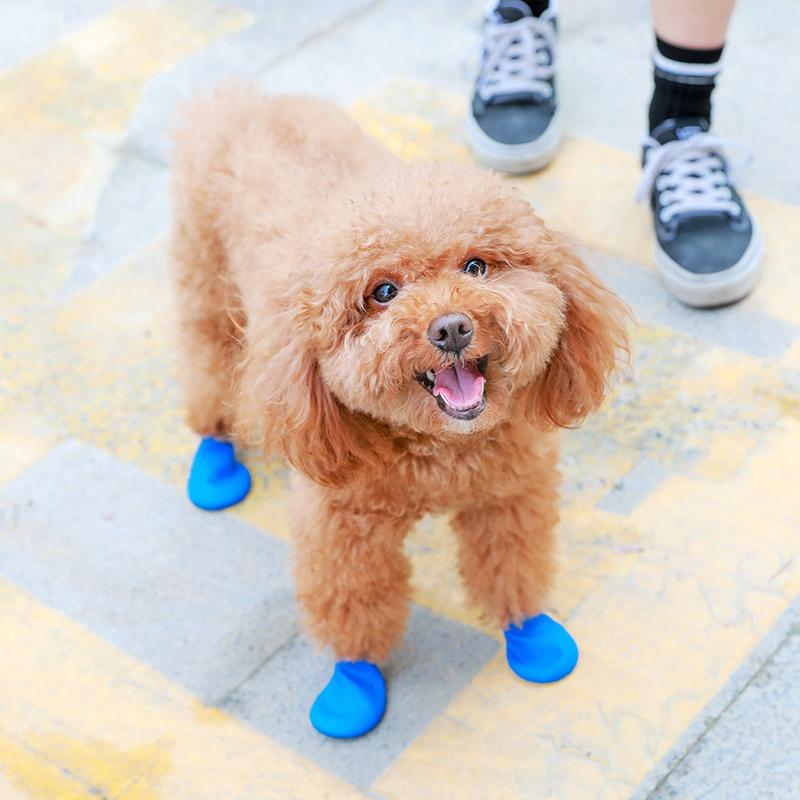 PootShield Chaussures de Chien Étanches avec Adhérence et Confort Protecteur