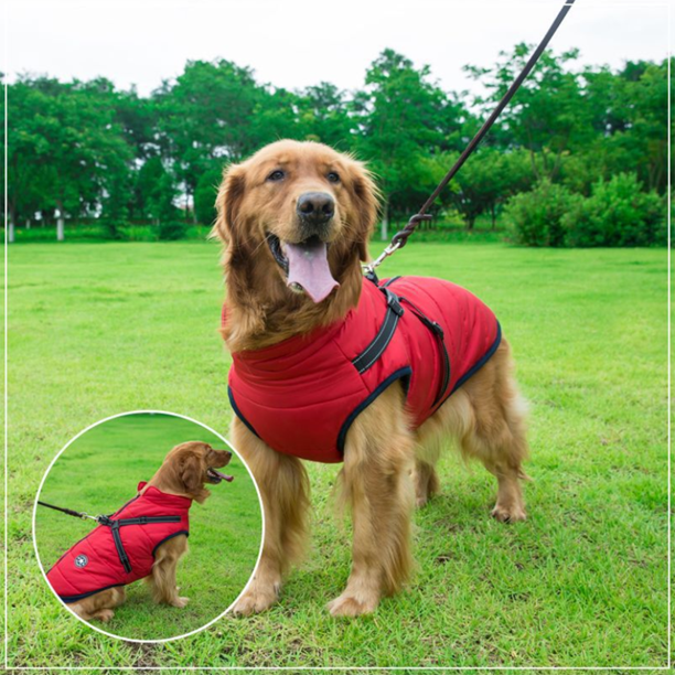 WoofGuard™ - Veste d'hiver imperméable avec harnais intégré