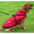 WoofGuard™ - Veste d'hiver imperméable avec harnais intégré