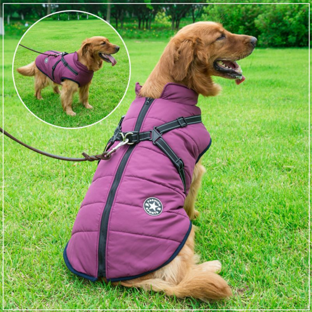 WoofGuard™ - Veste d'hiver imperméable avec harnais intégré