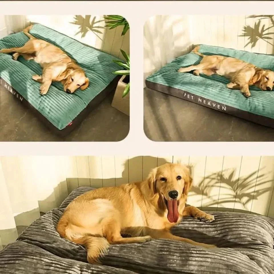 FlauschNest Lit Orthopédique pour Chien – Douillet & Soutenant pour des Nuits Reposantes