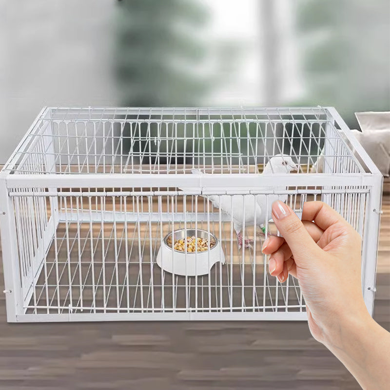 Piège à Oiseaux Doux avec Mécanisme Anti-Retour – Piège BirdSafe