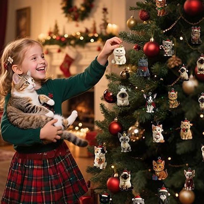 Calendrier de l'Avent pour Chats 2026 – 24 Jours de Joyeuses Surprises Félin