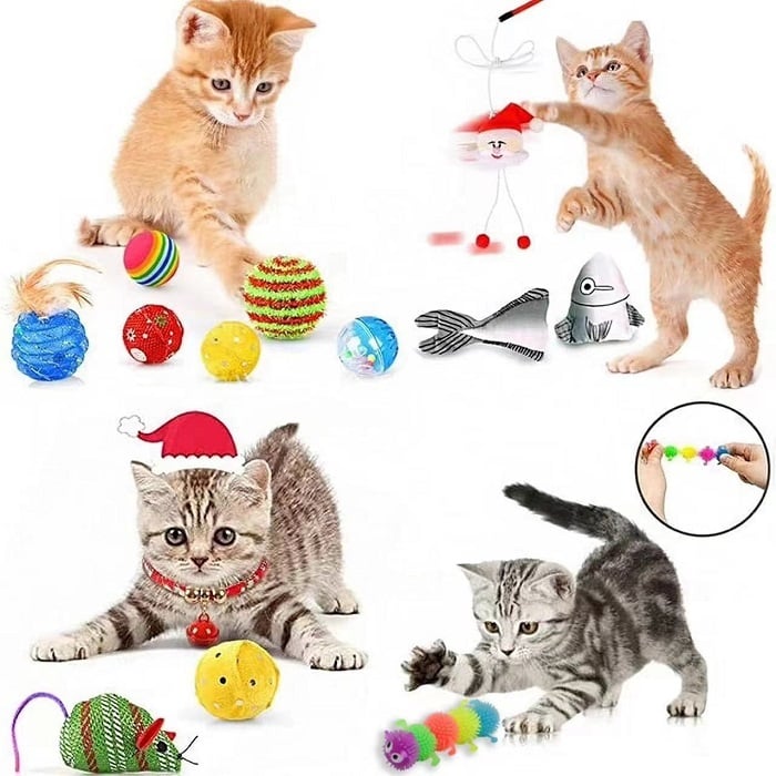 Pawfect | Calendrier de l'Avent 2025 pour Chats et Chiens