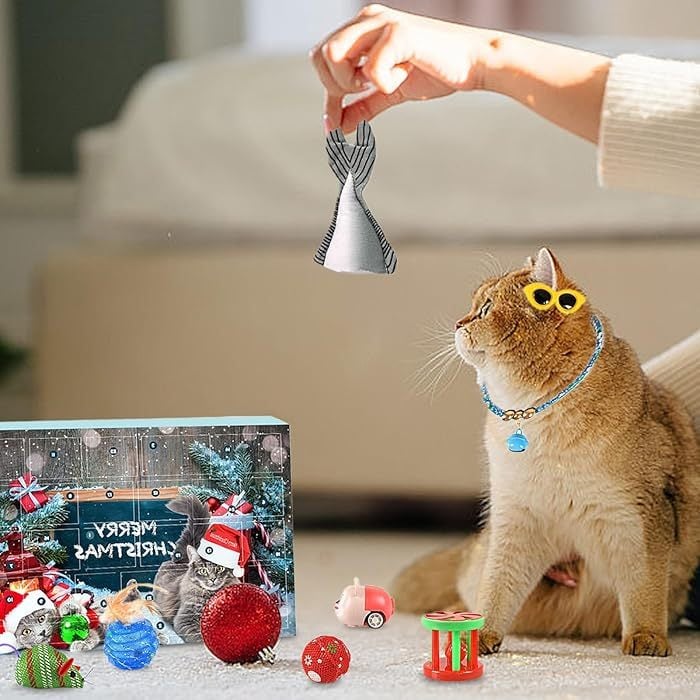 Pawfect | Calendrier de l'Avent 2025 pour Chats et Chiens