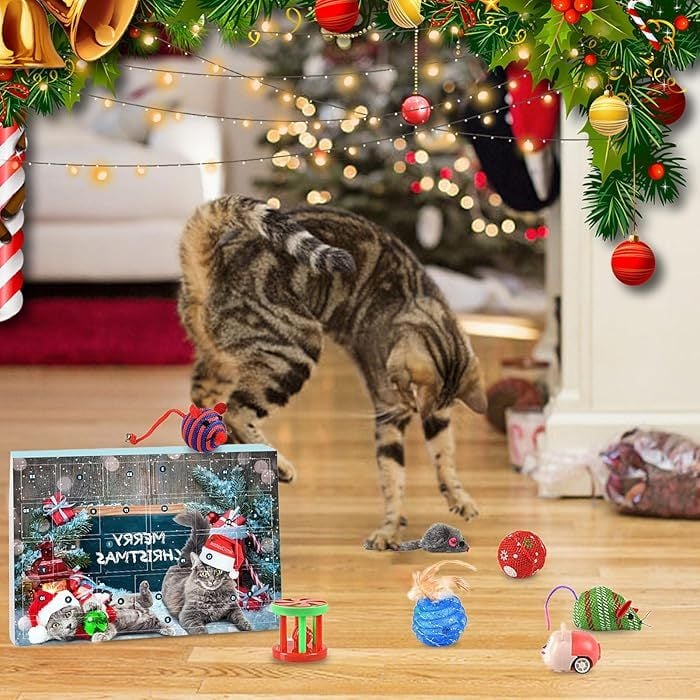 Pawfect | Calendrier de l'Avent 2025 pour Chats et Chiens