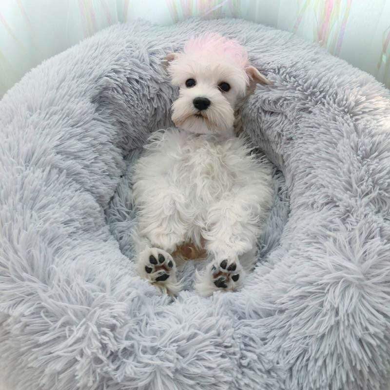Lit pour Chien Confortable - Grande Taille, Lavable en Machine, Design Apaisant Imitant le Pelage de Maman pour un Confort et une Détente Ultimes