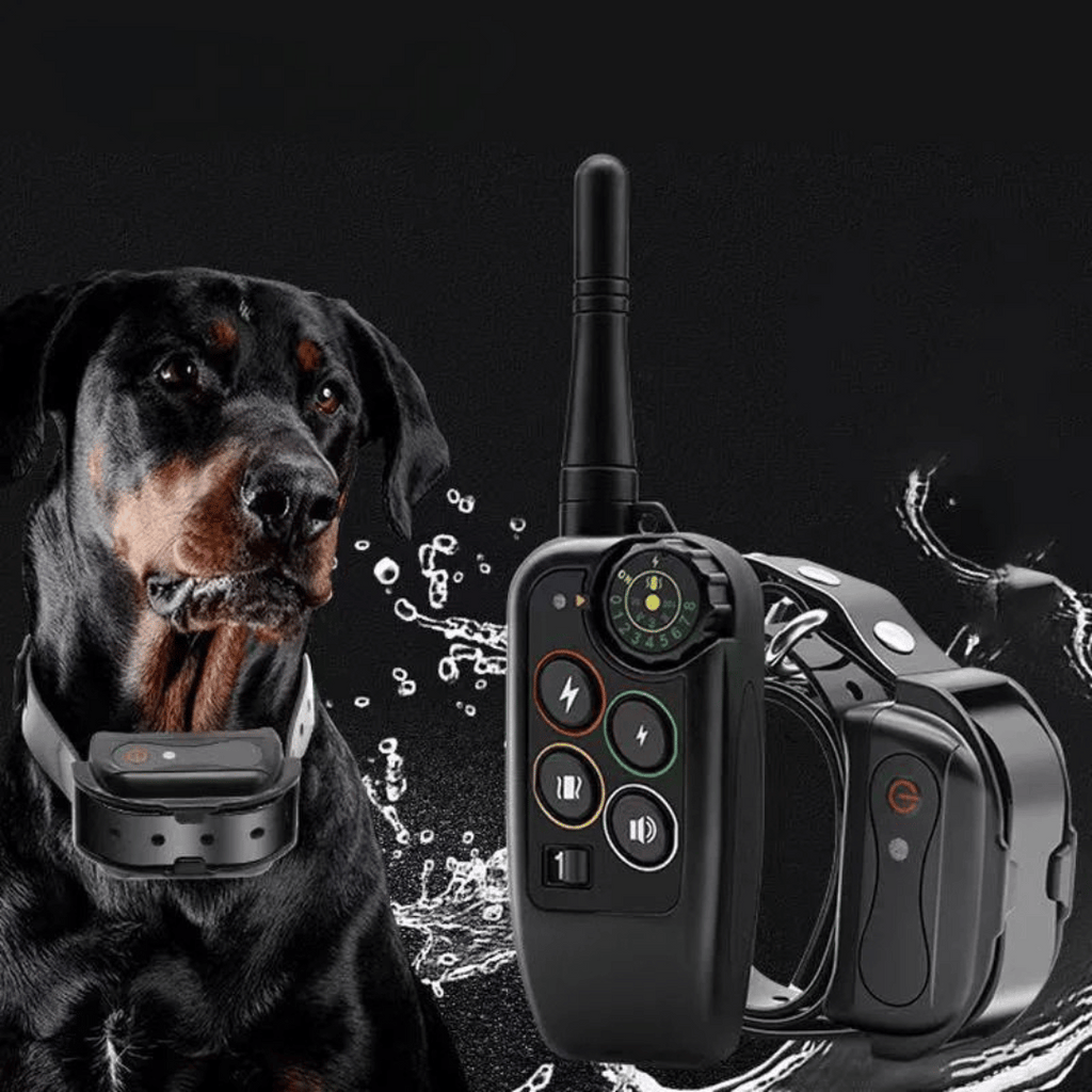 Collier Électronique pour Dressage de Chiens Étanche à Longue Distance 1000m & Télécommande