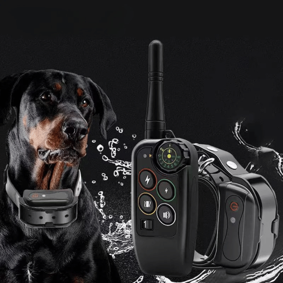 Collier Électronique pour Dressage de Chiens Étanche à Longue Distance 1000m & Télécommande
