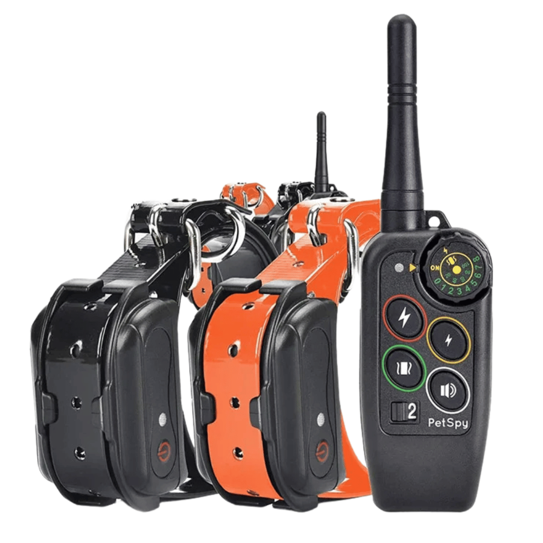 Collier Électronique pour Dressage de Chiens Étanche à Longue Distance 1000m & Télécommande