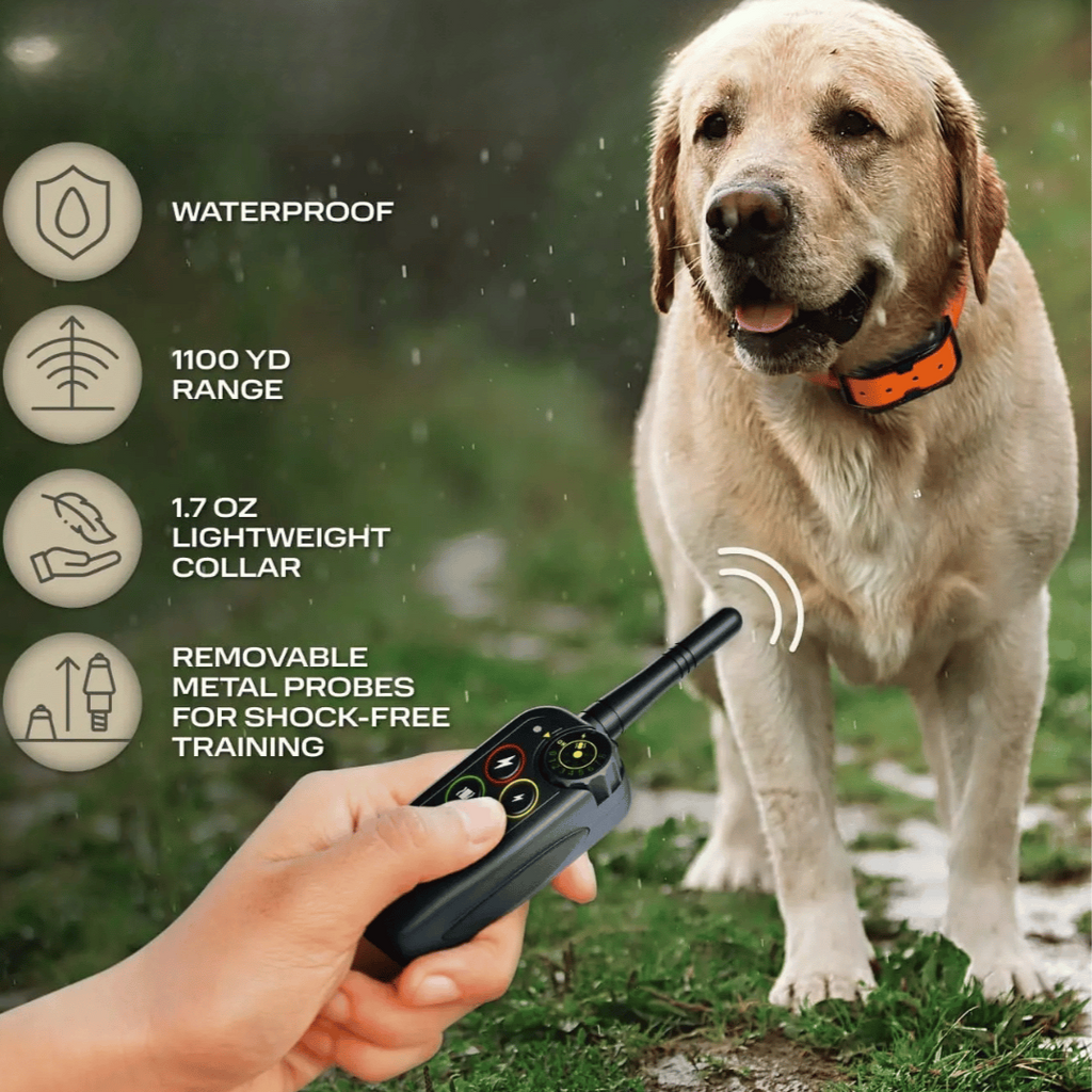 Collier Électronique pour Dressage de Chiens Étanche à Longue Distance 1000m & Télécommande