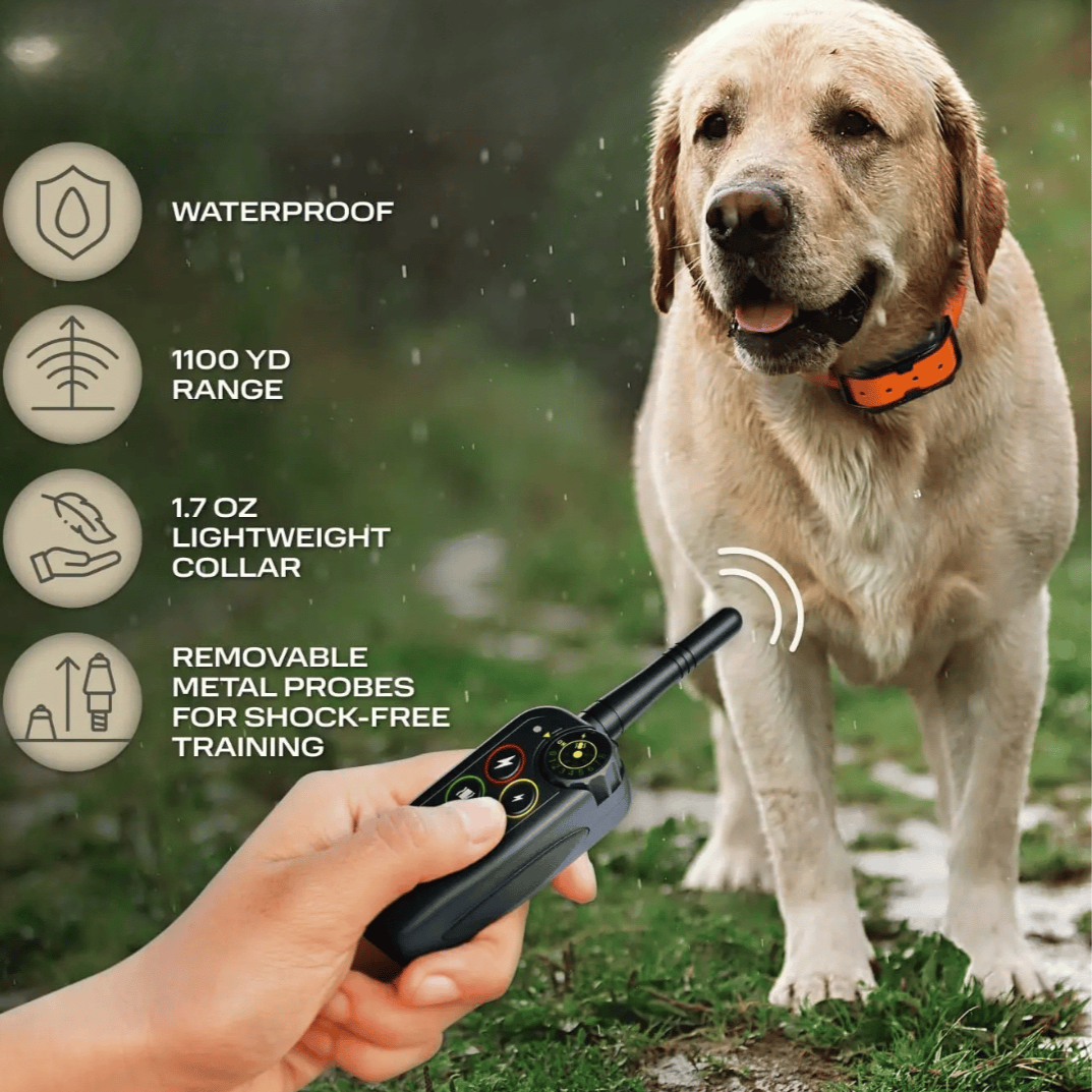 Collier Électronique pour Dressage de Chiens Étanche à Longue Distance 1000m & Télécommande